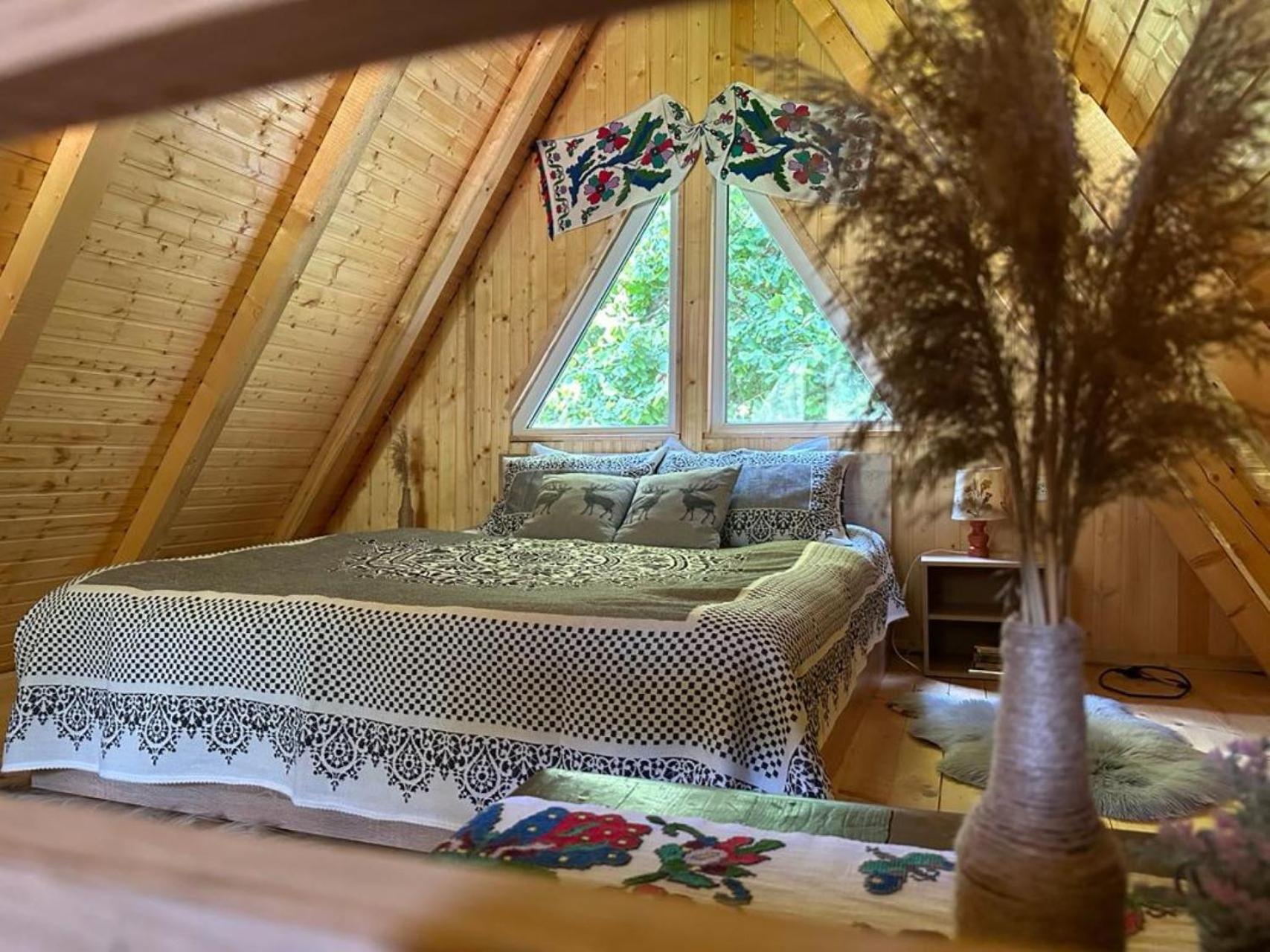 Cabanutze Satic Βίλα Rucăr Εξωτερικό φωτογραφία