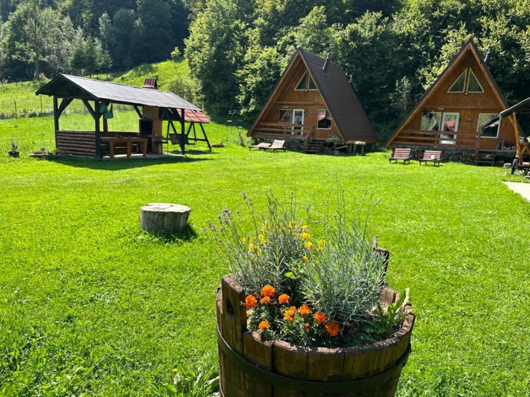 Cabanutze Satic Βίλα Rucăr Εξωτερικό φωτογραφία