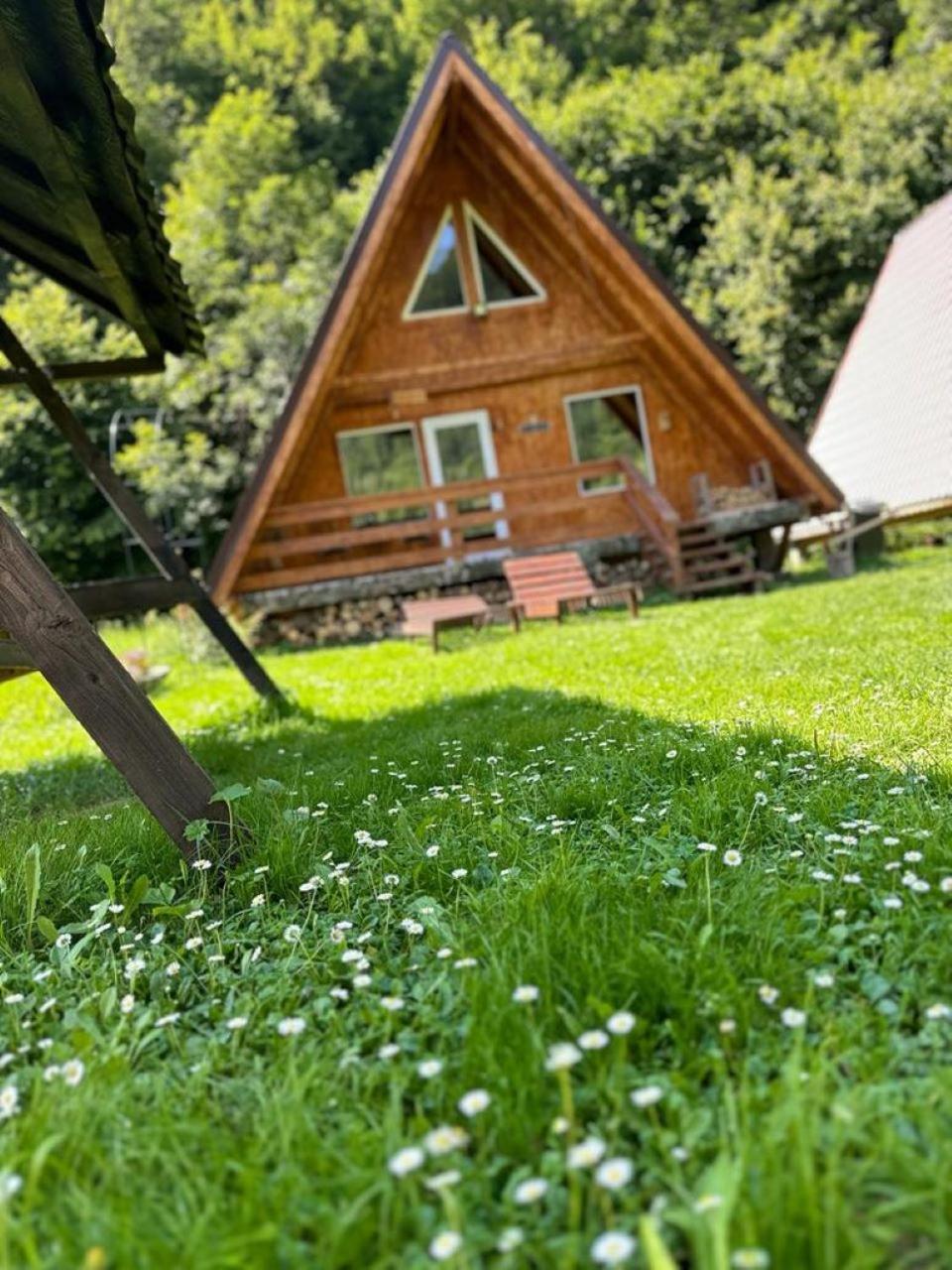 Cabanutze Satic Βίλα Rucăr Εξωτερικό φωτογραφία