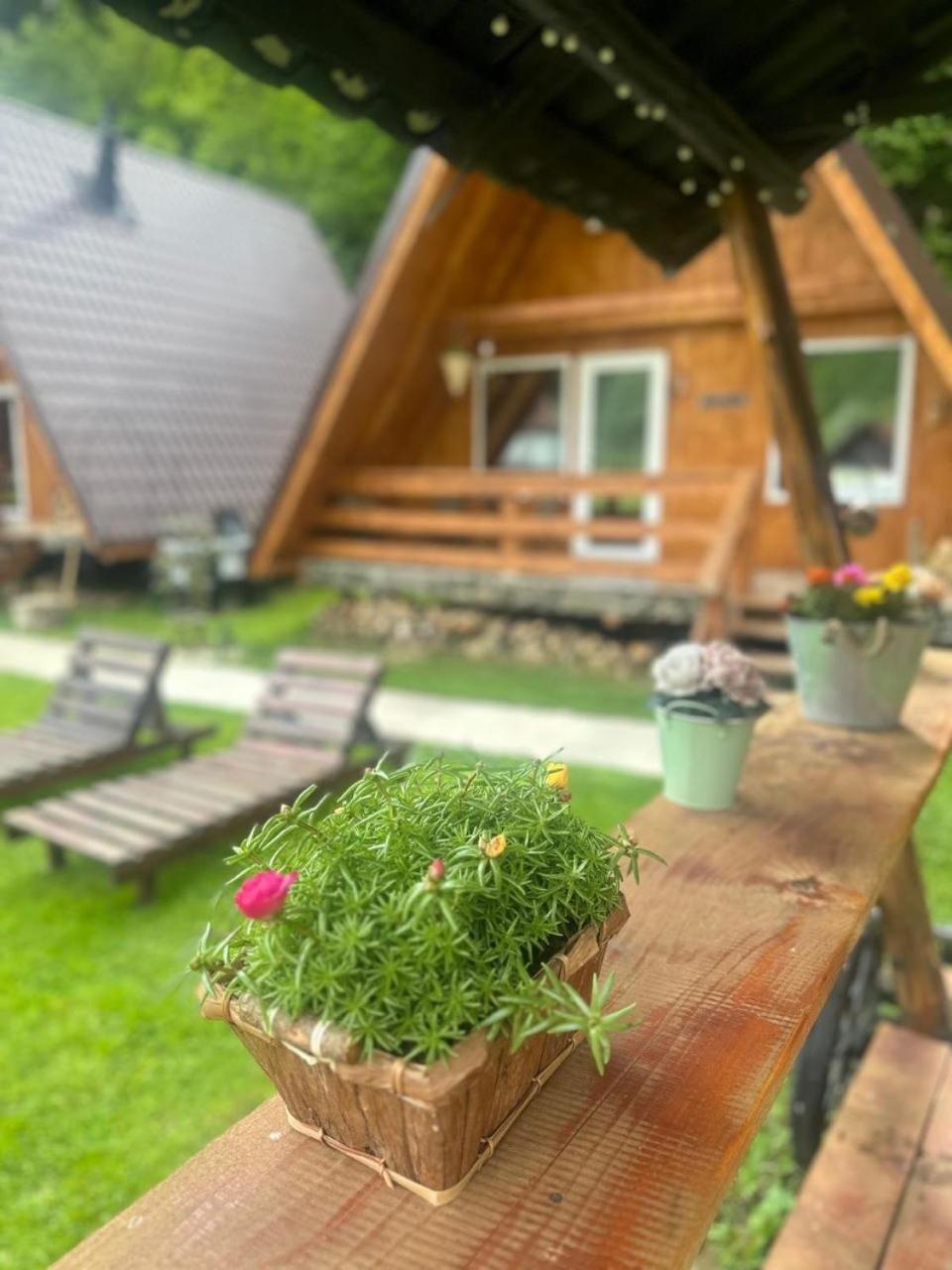 Cabanutze Satic Βίλα Rucăr Εξωτερικό φωτογραφία