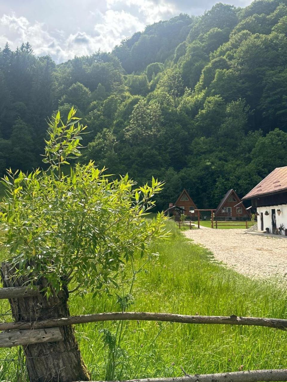 Cabanutze Satic Βίλα Rucăr Εξωτερικό φωτογραφία