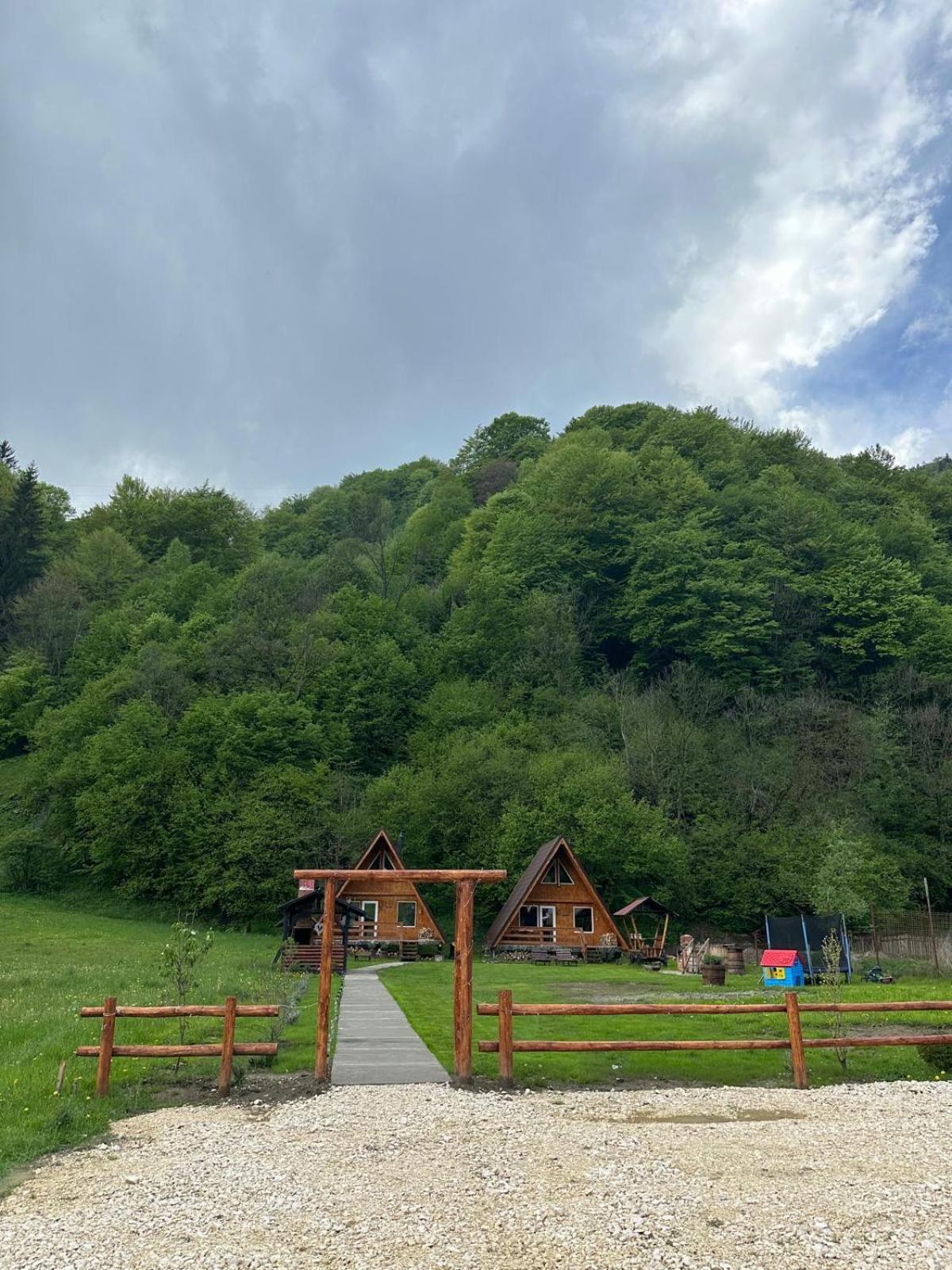 Cabanutze Satic Βίλα Rucăr Εξωτερικό φωτογραφία